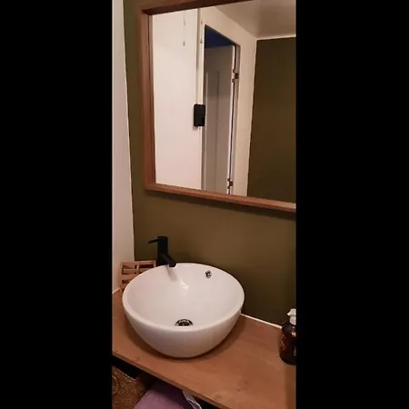 Chalet Olive Im Park De Veerstal