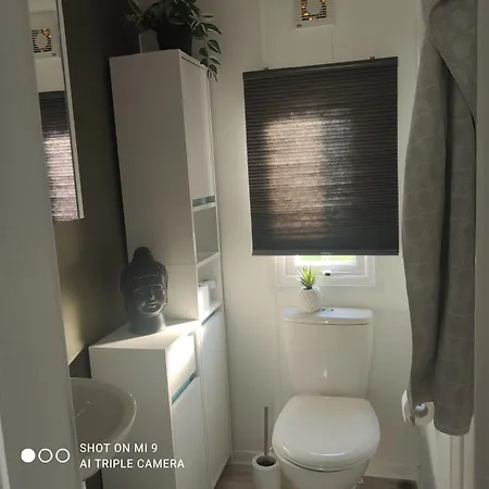 Olive Im Park De Veerstal Chalet Lathum