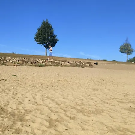 Olive Im Park De Veerstal