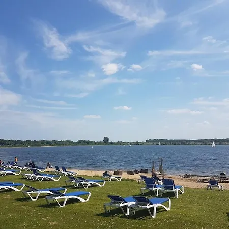 Olive Im Park De Veerstal *