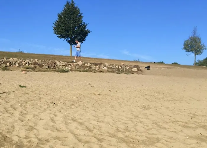 Olive Im Park De Veerstal